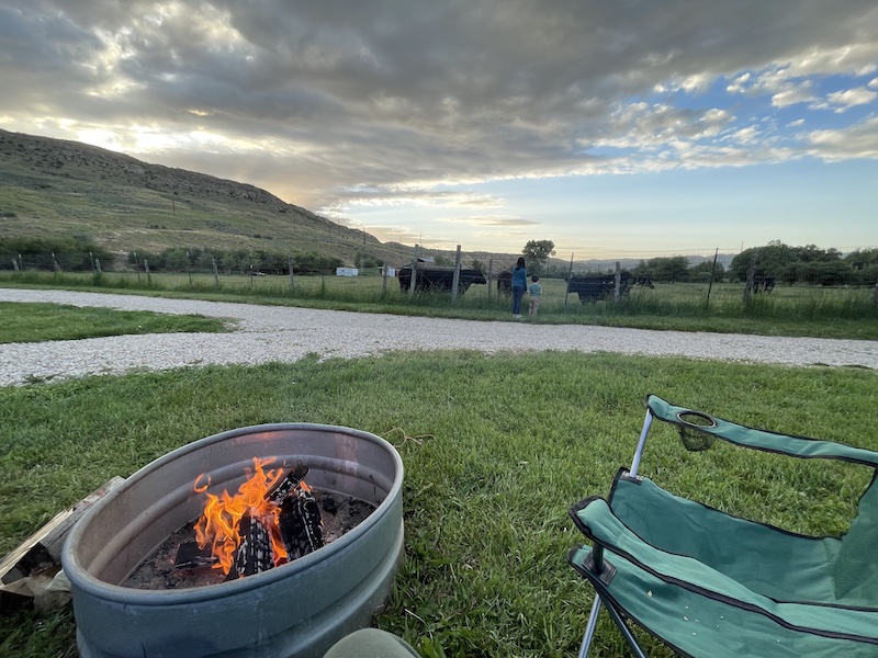 kids looking at cows while I hang by the fire