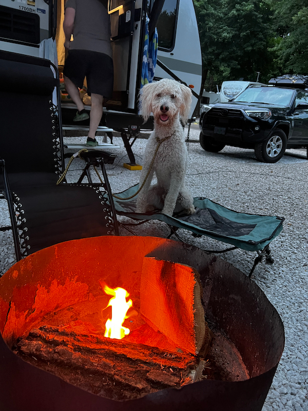 Oakley by the fire