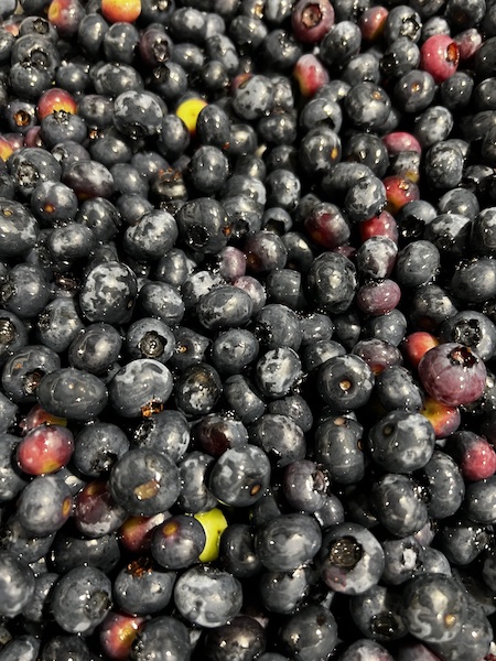 Closeup of yummy blueberries