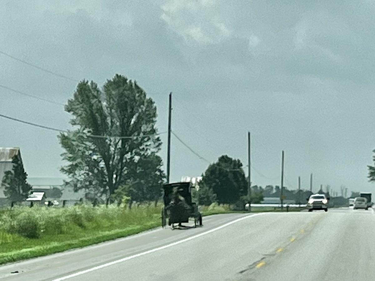 A blurry photo of an Amish horse and buggy on the side of the highway