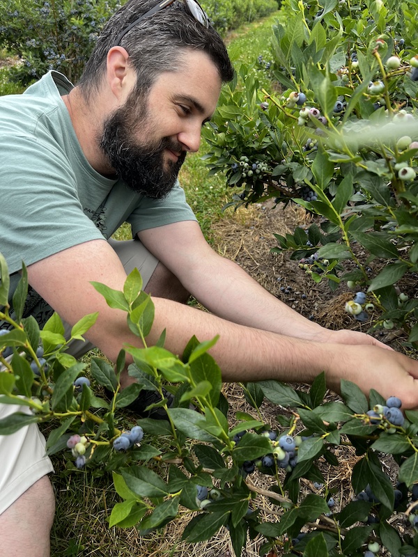 Me picking some blueberries from a bush