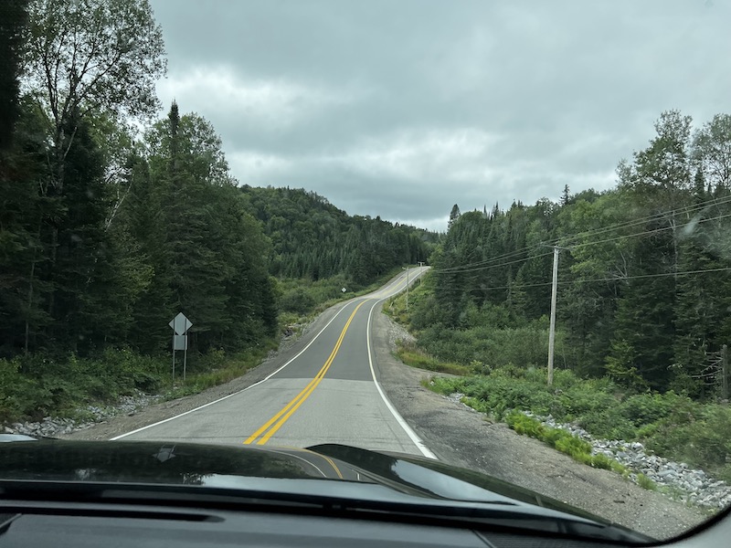 The hilly road ahead of us with evergreens on either side, on the way to the cousin's cabin