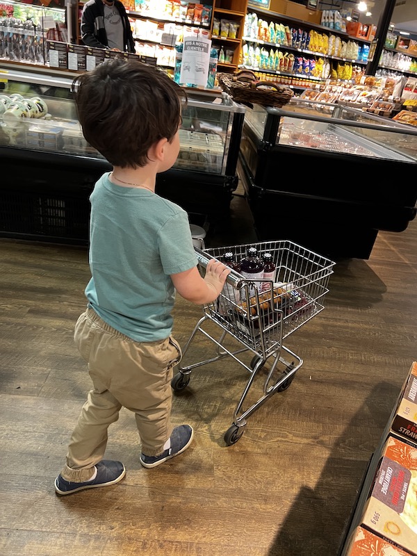 Our son pushing a small cart in the grocery store